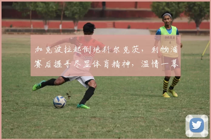 加克波拉起倒地科尔克茨，利物浦赛后握手尽显体育精神，温情一幕
