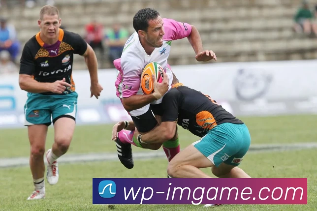 IM体育官网发展历程